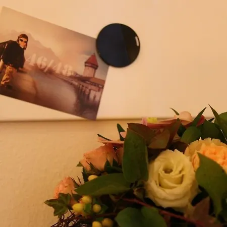 Easy-living Budget Lindenstrasse 48 Luzern